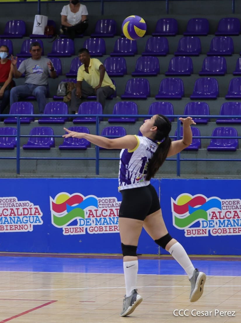 voleibol